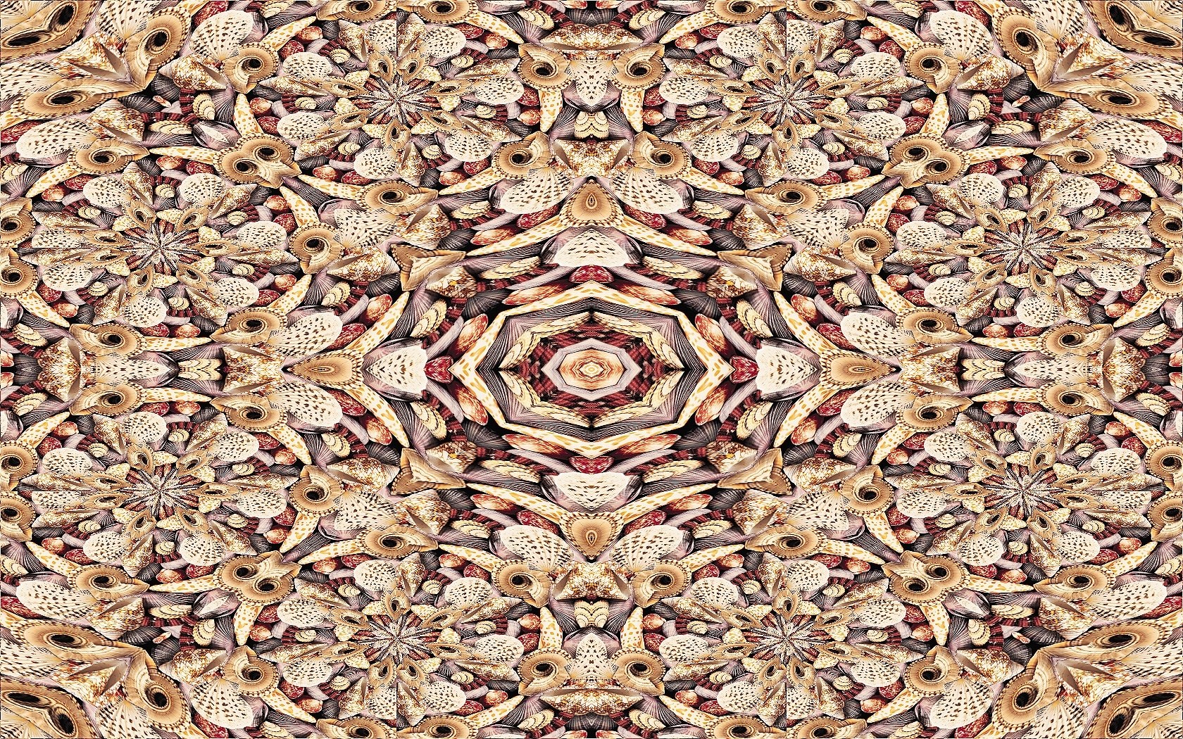 mandala of seashells