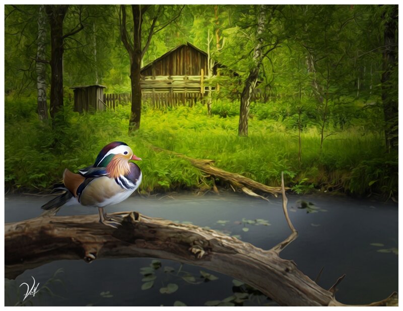 Mandarin Duck on Log — Green