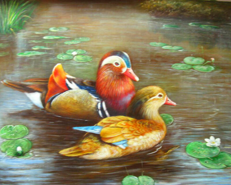 Mandarin Ducks in Pond — Brown