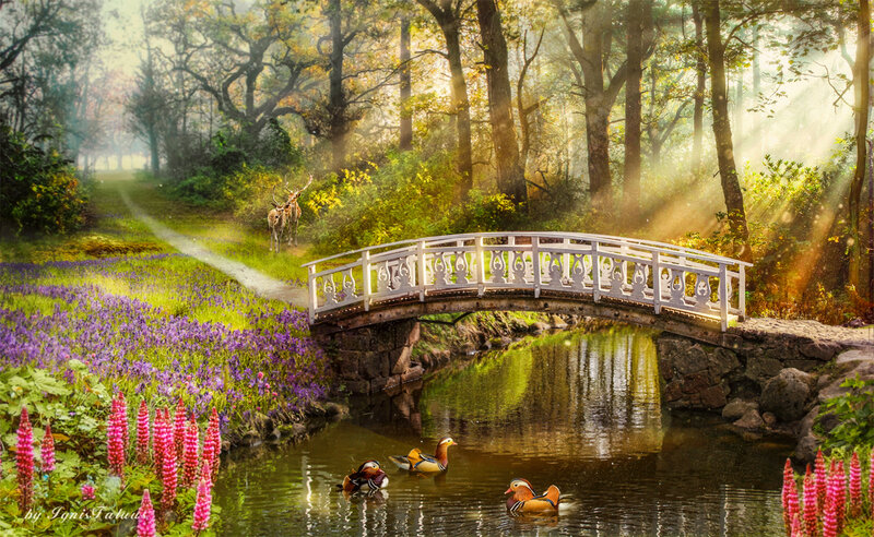 Mandarin Ducks in Pond — Green, Serene