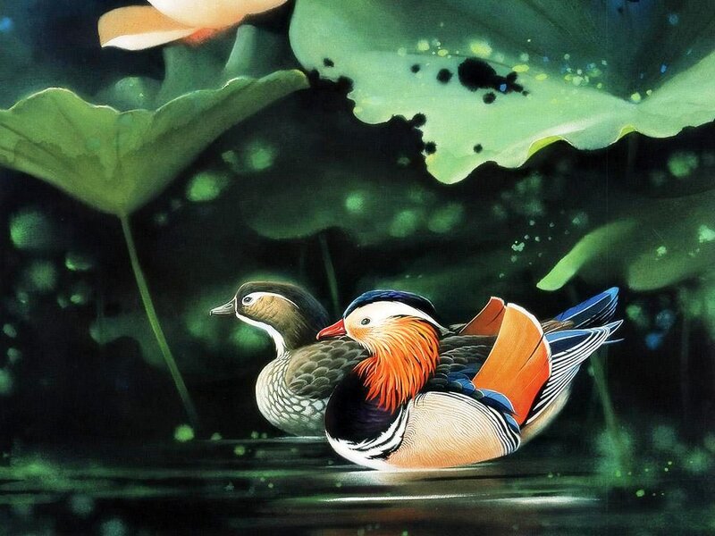 Mandarin Ducks in Pond — Green