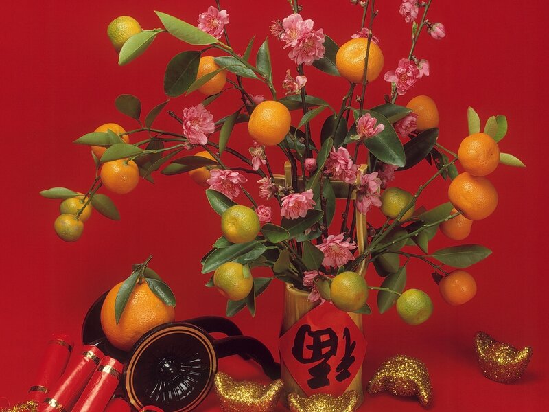 Mandarin Orange Branches — Red, Festive