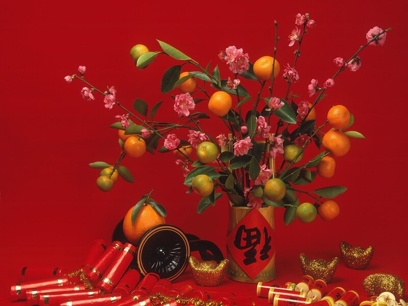 Mandarin Orange Branches — Red