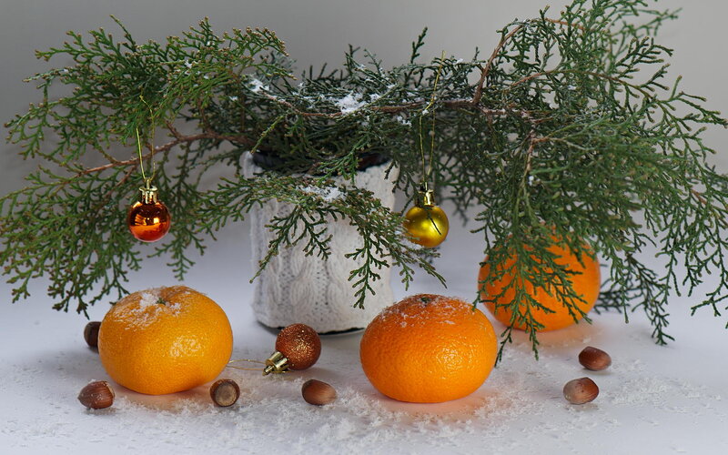 Mandarin Oranges and Branches