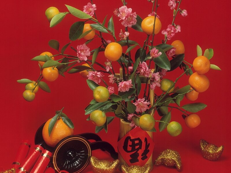 Mandarin Oranges and Flowers — Red