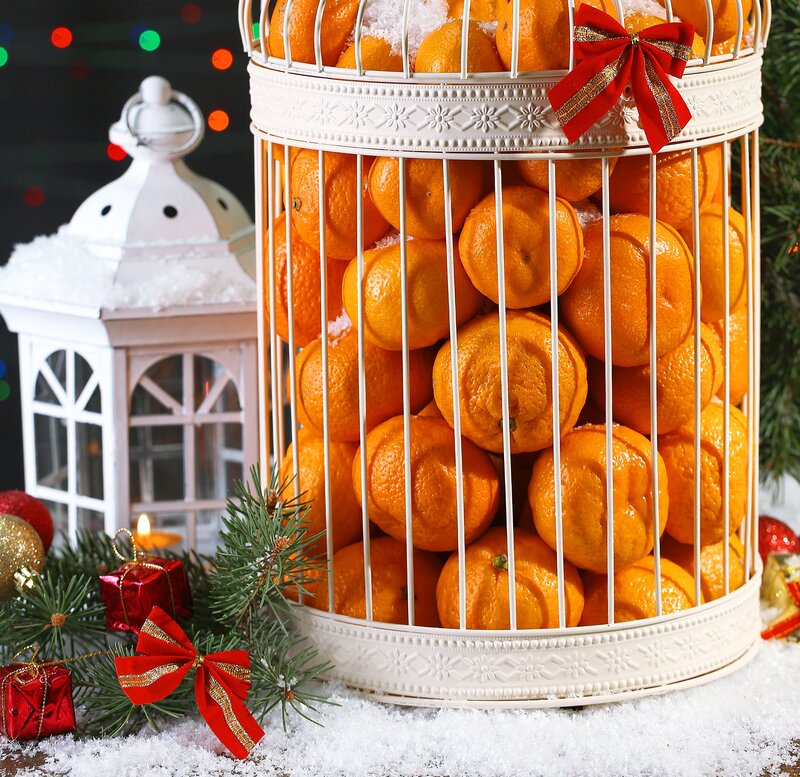Mandarin Oranges in Cage