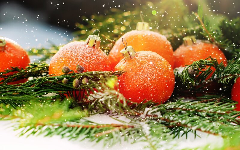 Mandarin Oranges on Branches