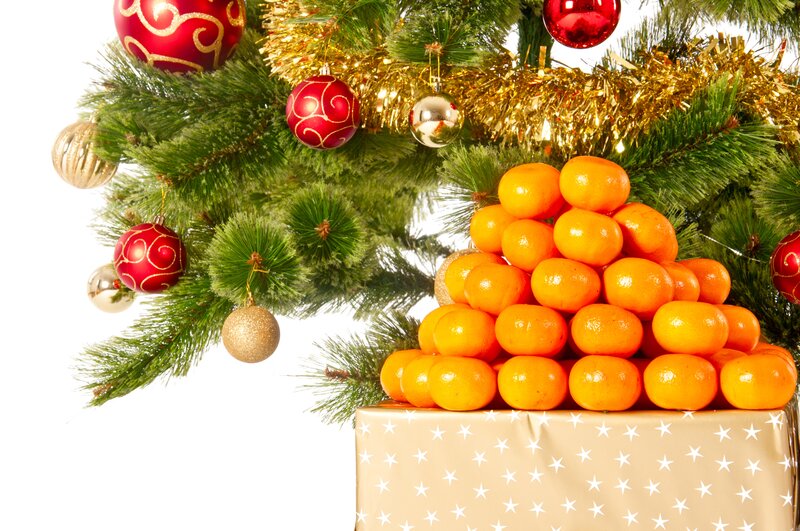 Mandarin Oranges under Tree
