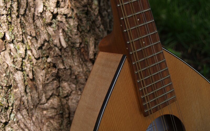 Mandolin against tree bark