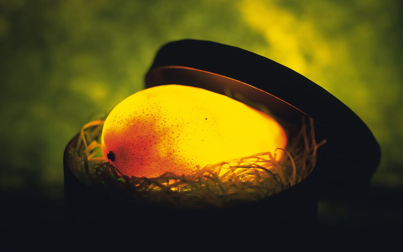 Mango in a Box