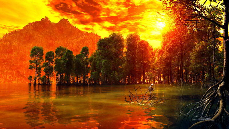 Mangrove Forest at Sunset — Orange, Dramatic