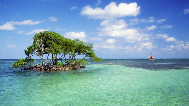 Mangrove Island in Ocean — Blue