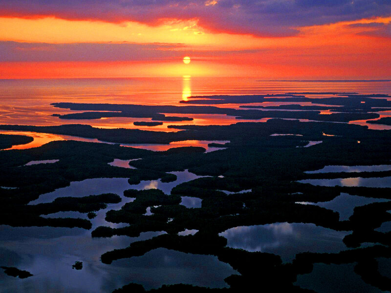Mangrove Islands at Sunset — Orange