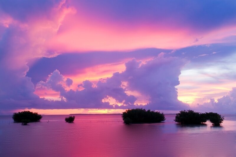Mangrove Islands at Sunset
