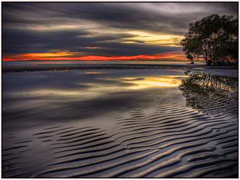 Mangrove Trees at Sunset — Orange
