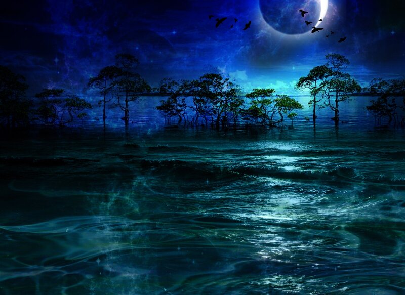 Mangrove Trees in Water — Blue, Mystical