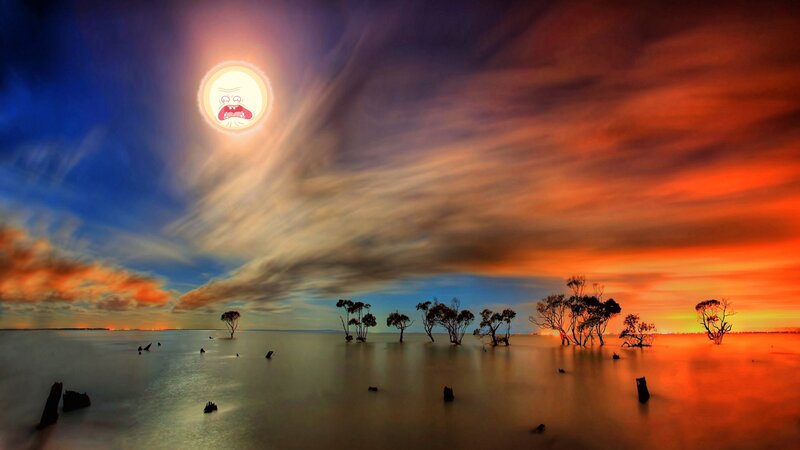 Mangrove Trees in Water — Orange, Dramatic