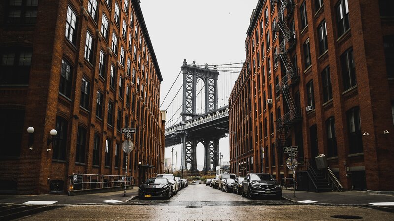 Manhattan Bridge View — Brown, Dramatic