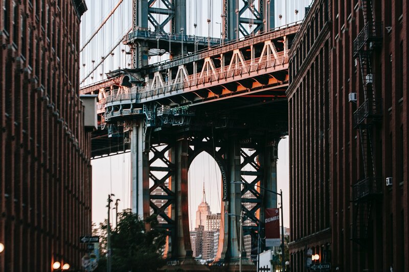 Manhattan Bridge View — Brown
