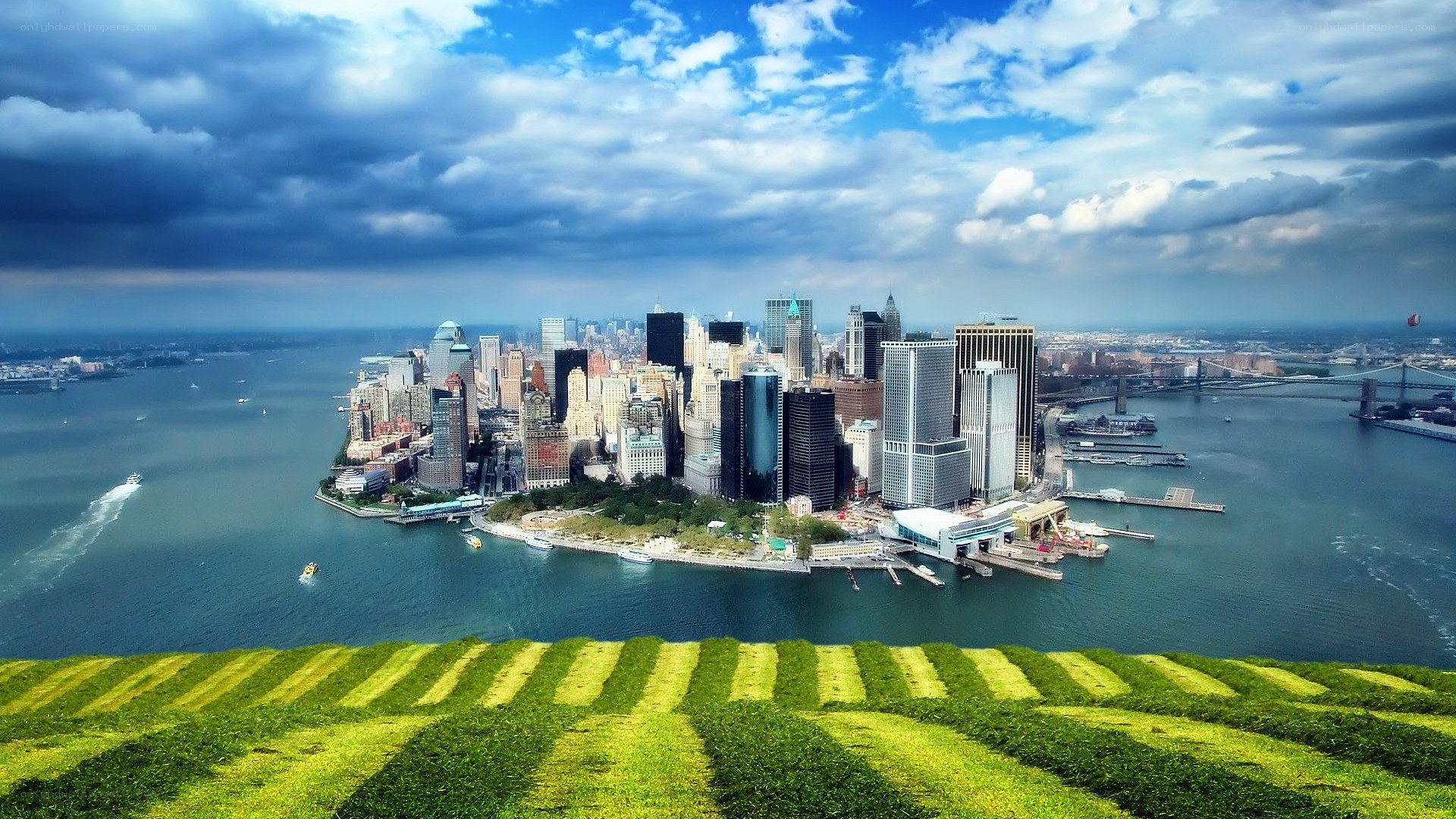 Manhattan skyline from a green hill