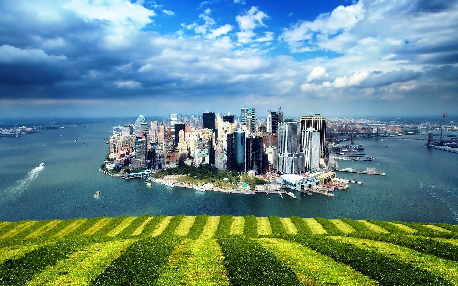 Manhattan skyline from a green hill