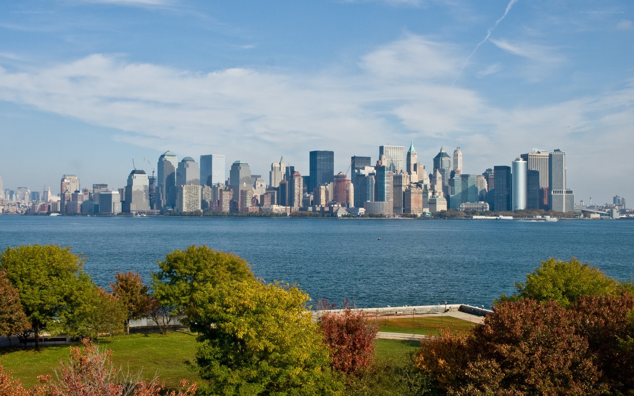 Manhattan skyline from a park