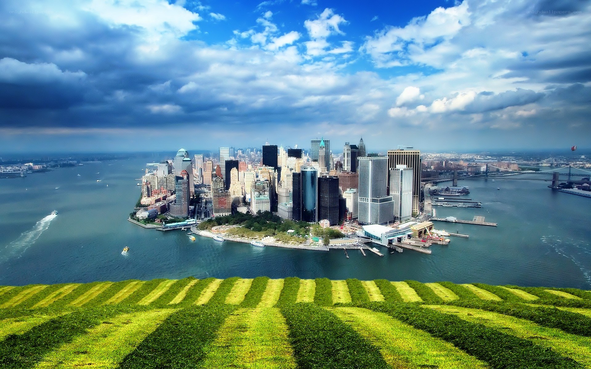 Manhattan skyline from green hill