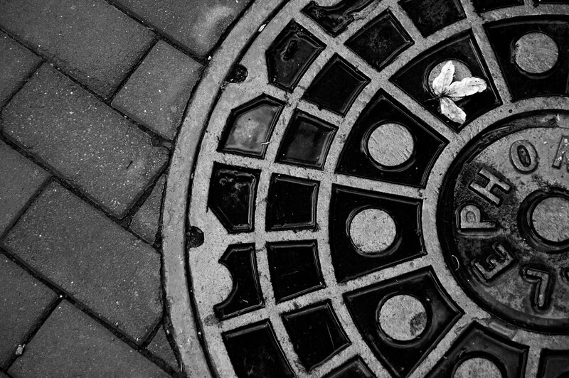 manhole cover with leaf