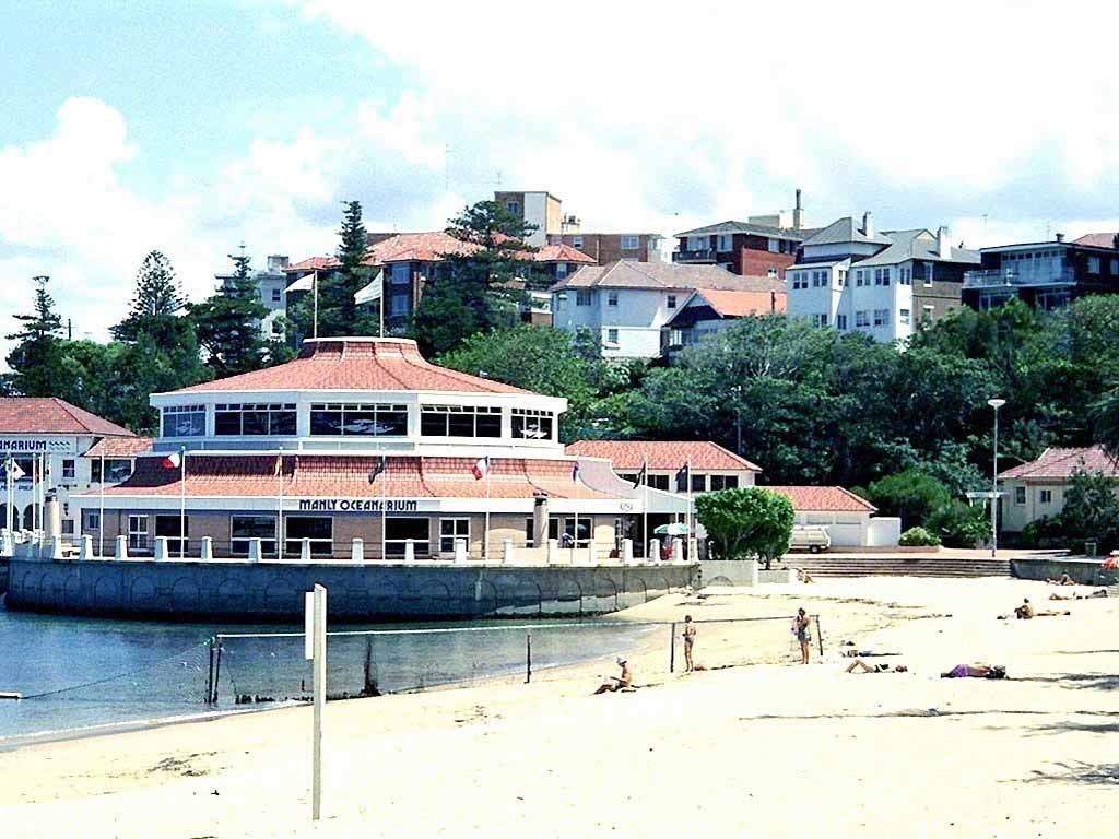 Manly Oceanarium and beach