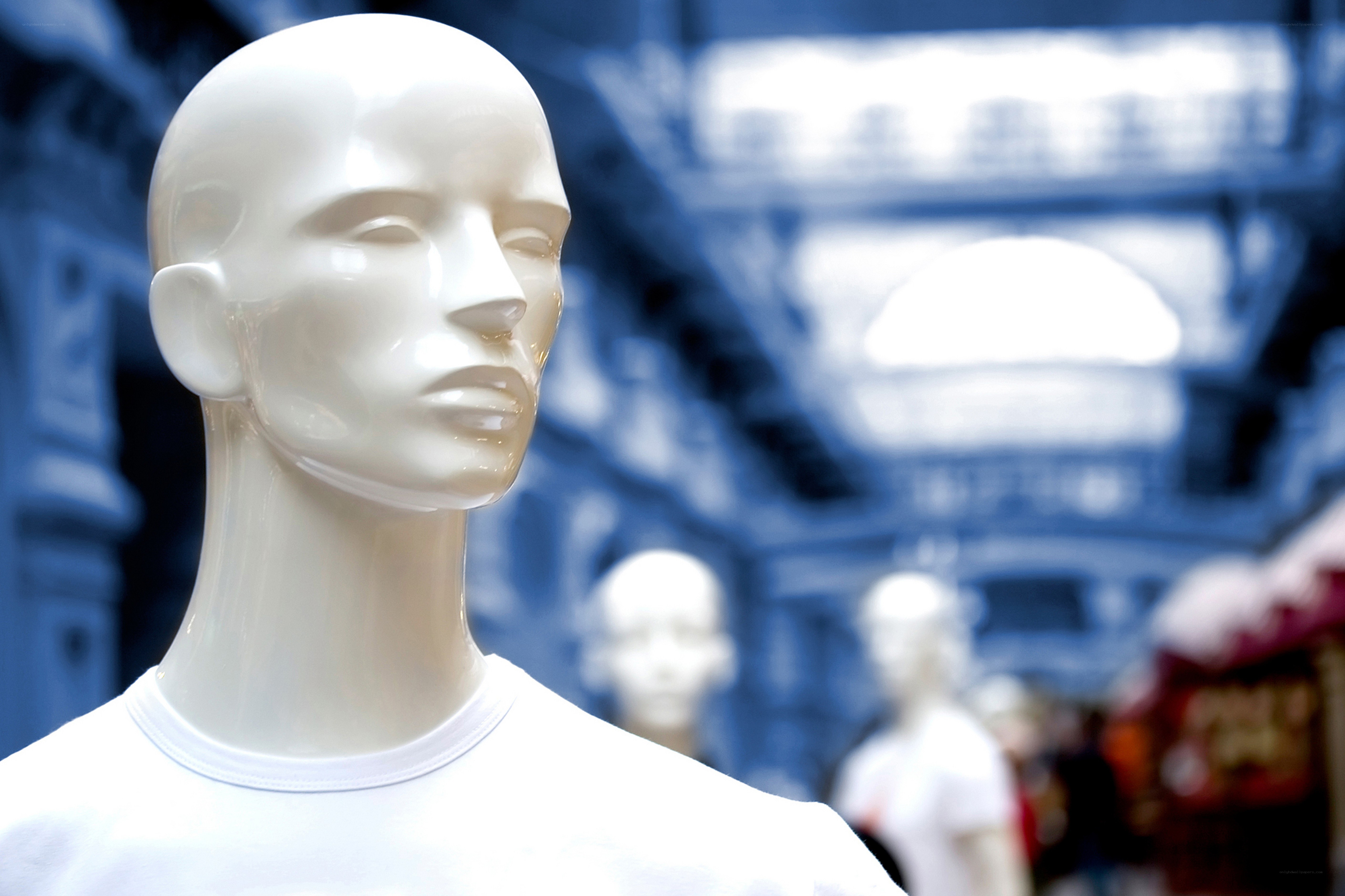 Mannequin in a store display