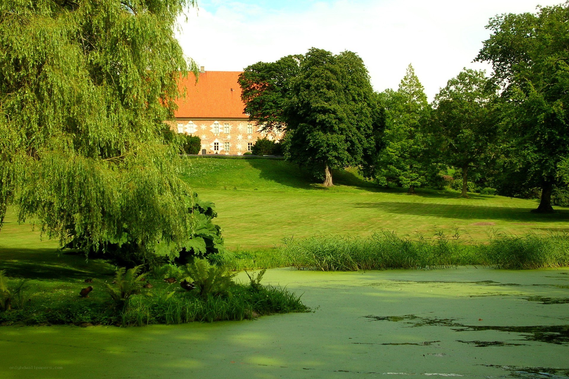 Manor house by a pond