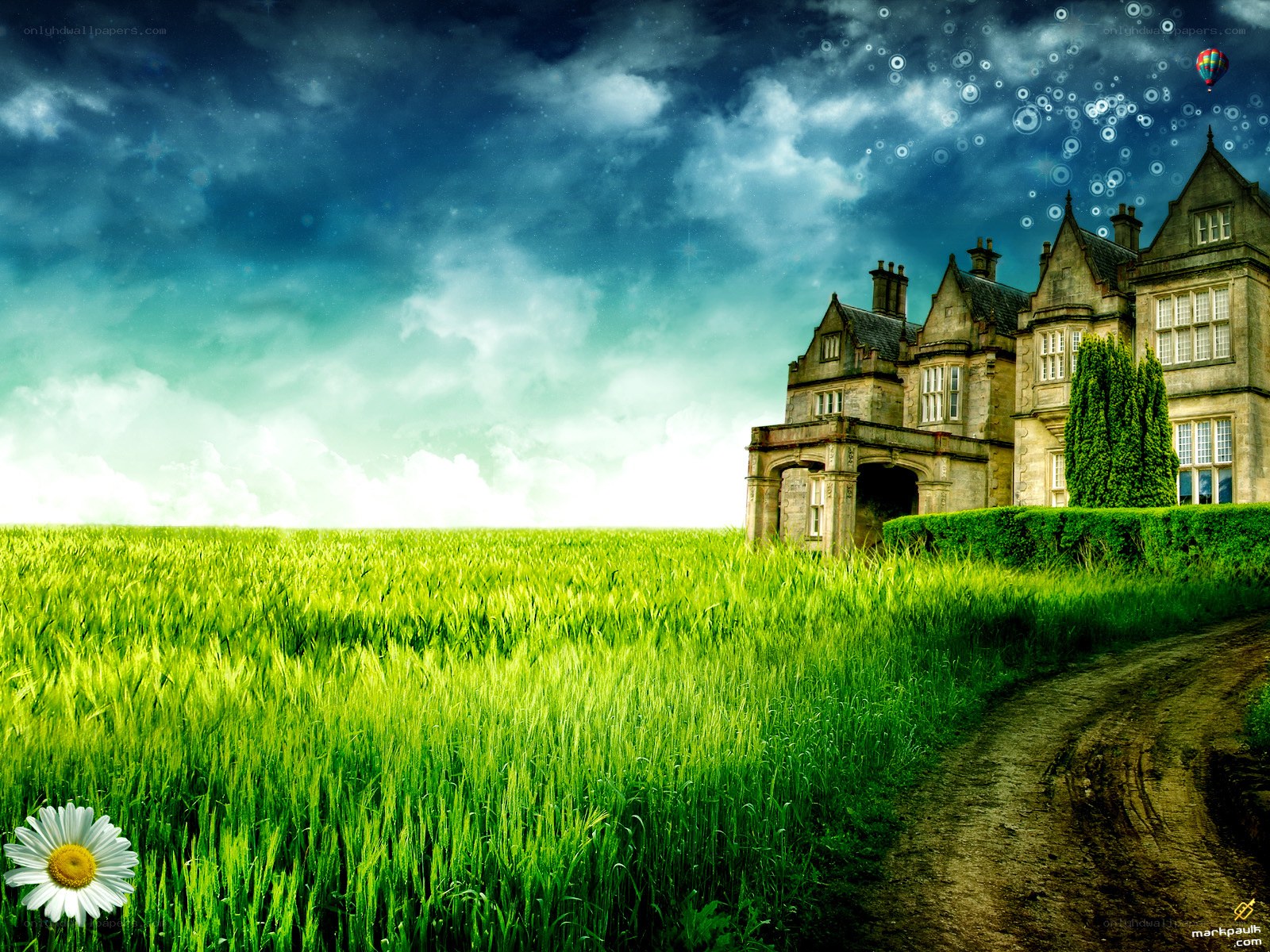 Mansion in a green field