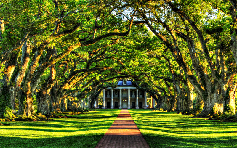 Mansion under Oak Trees — Green, Serene