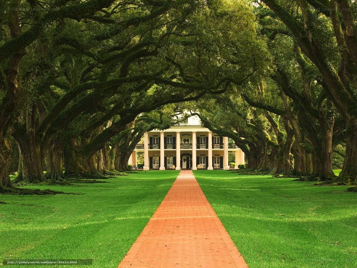mansion with tree-lined driveway