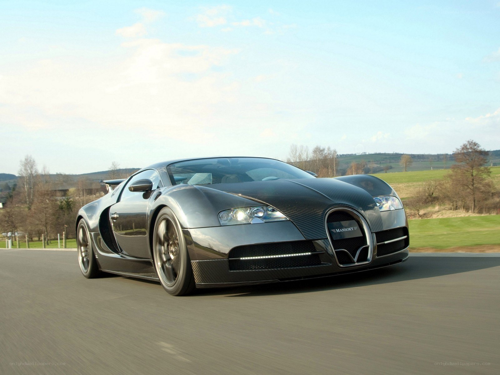 Mansory Bugatti Veyron on a road