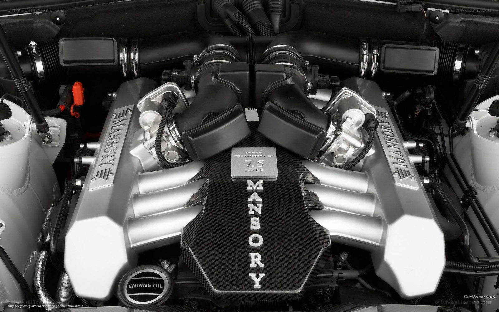 Mansory engine bay