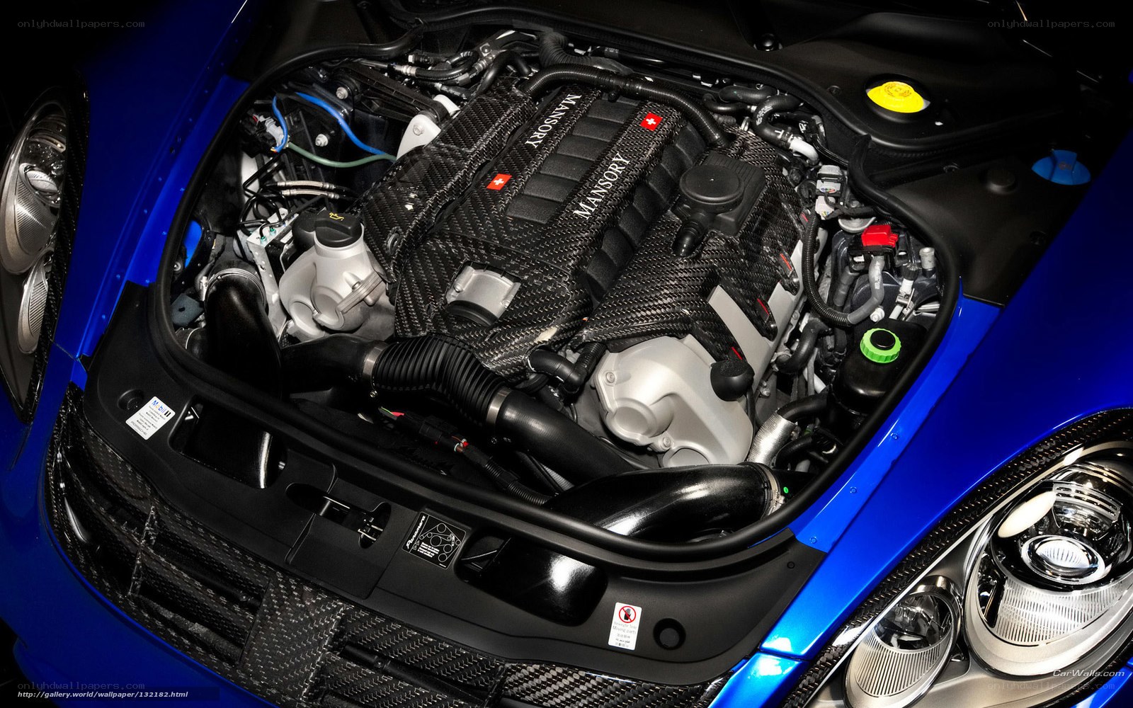 Mansory engine bay