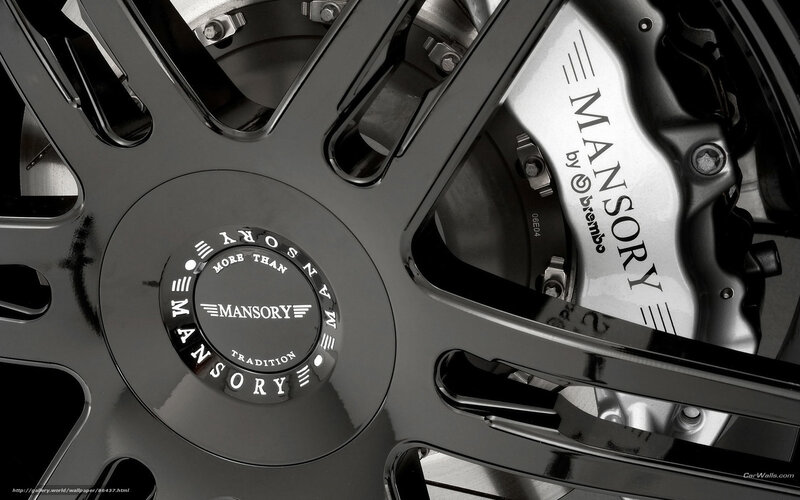 Mansory wheel and brake system