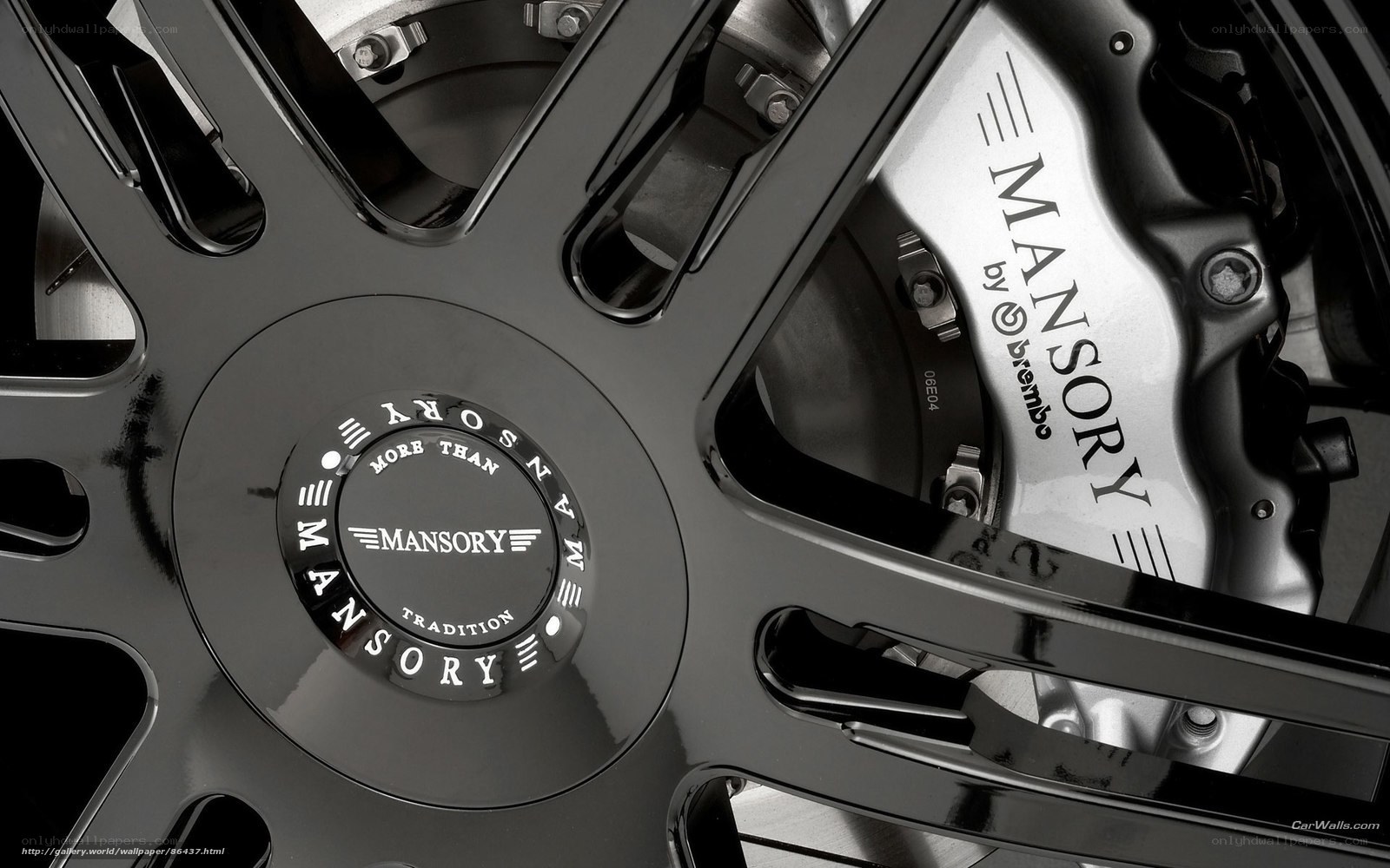 Mansory wheel and brake system