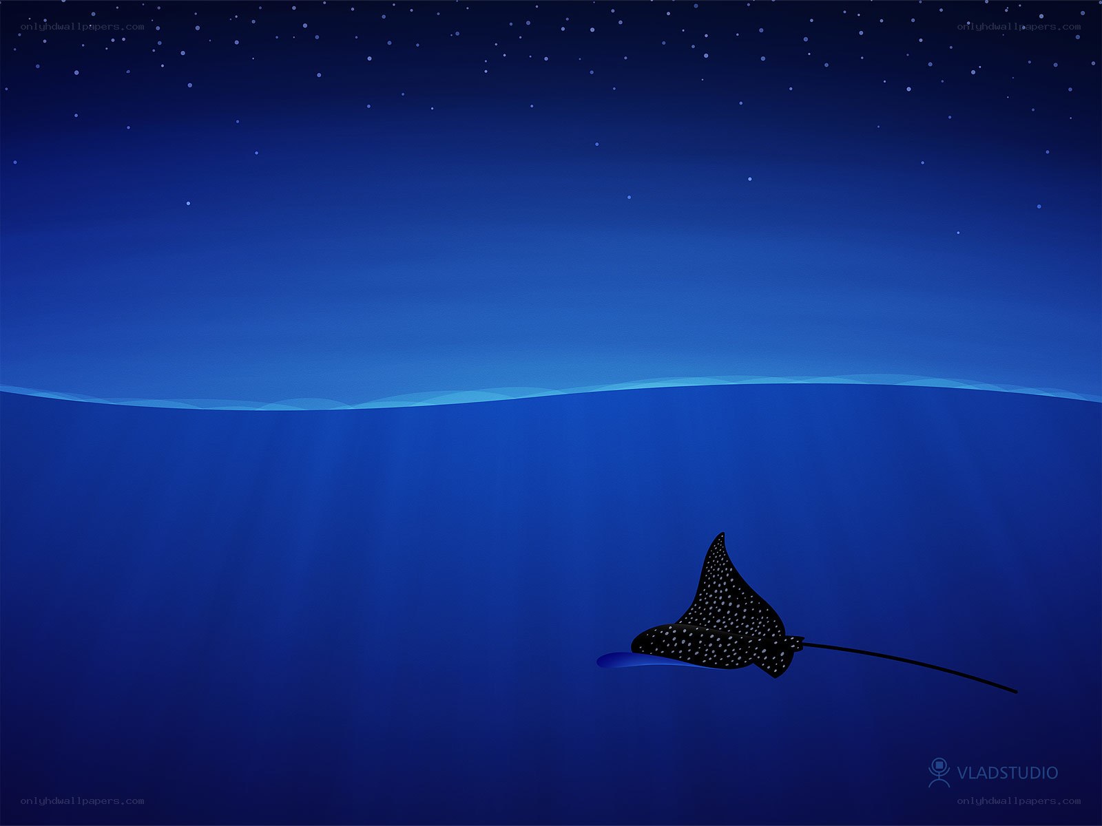 Manta ray under starry sky