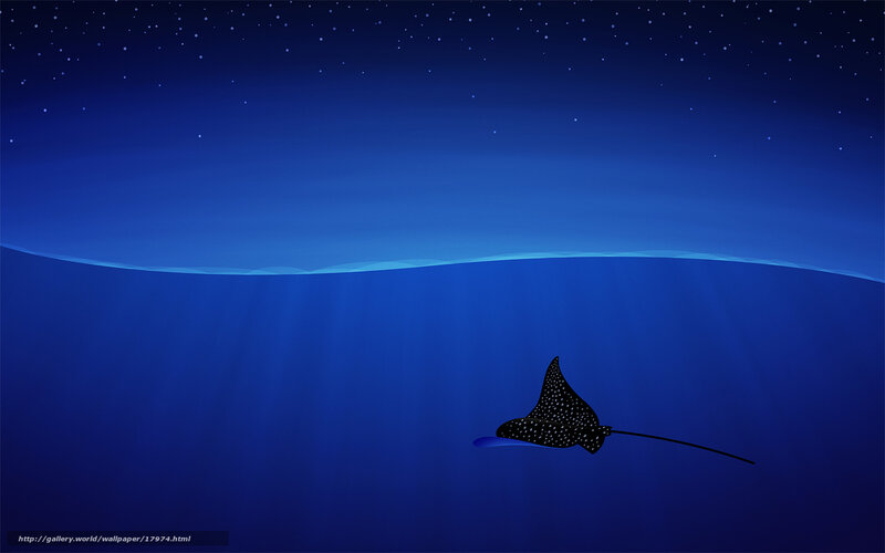 Manta ray under starry sky