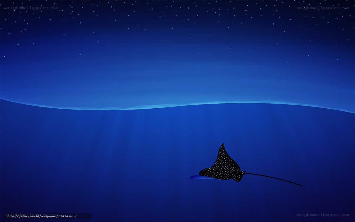 Manta ray under starry sky
