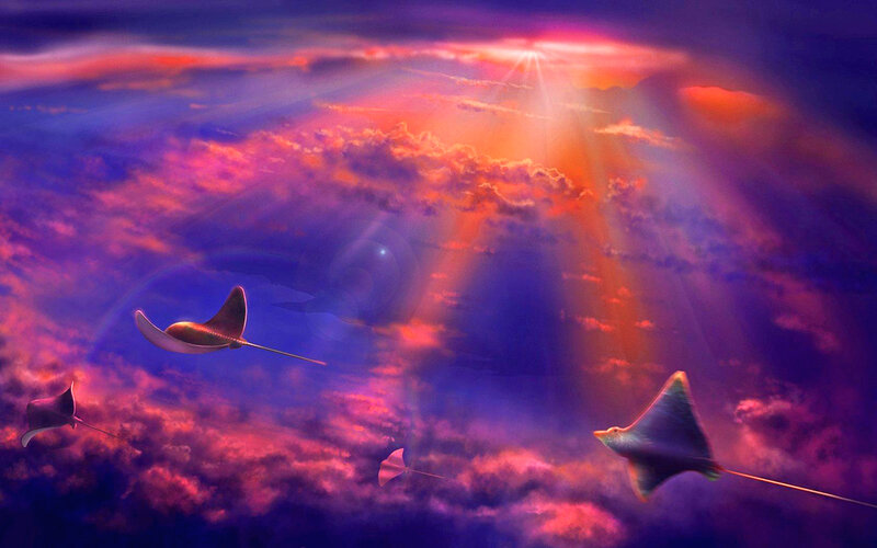 Manta Rays in Sky