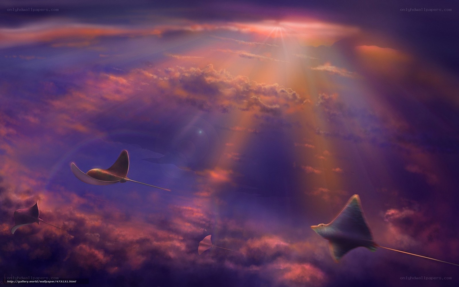 Manta rays in sunset sky