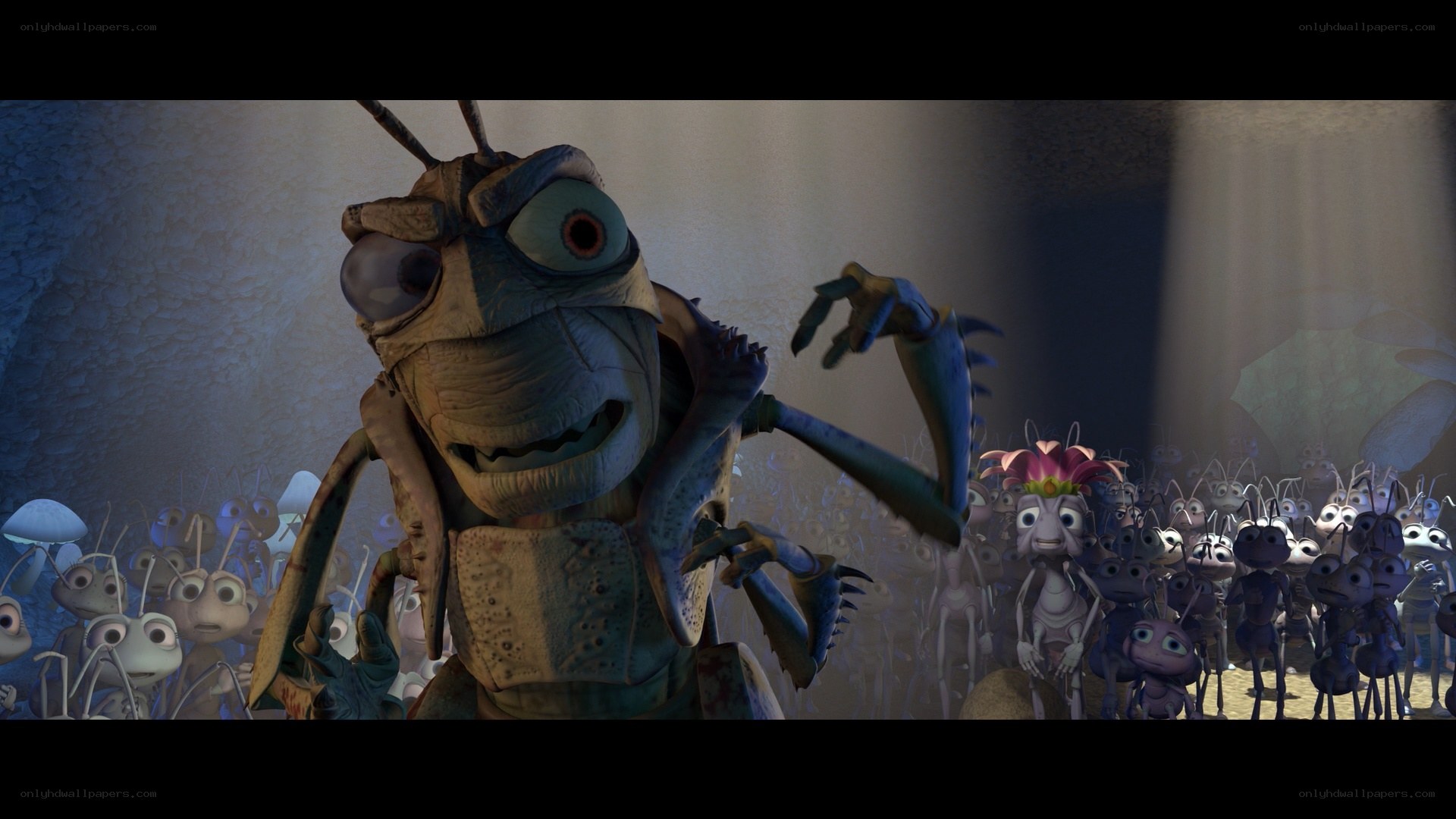 Mantis addressing a crowd