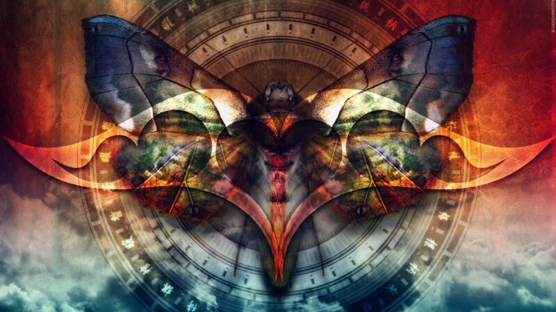 Mantis Shrimp Butterfly