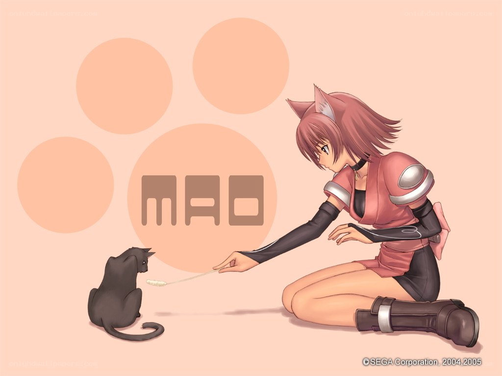 Mao with a black cat
