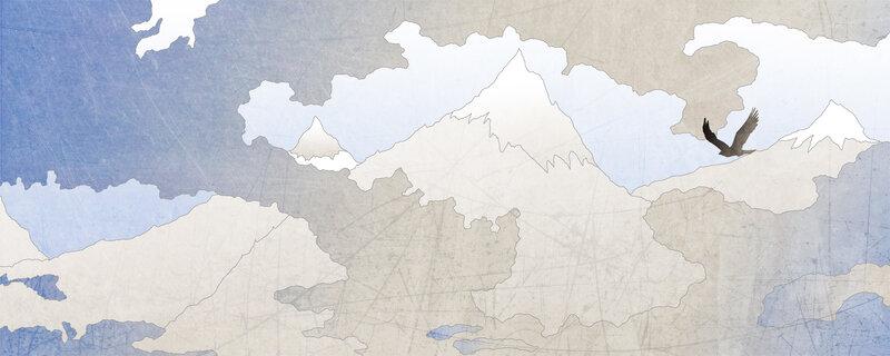 map with flying bird