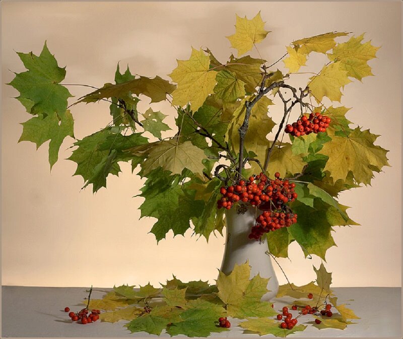 Maple Branch with Berries