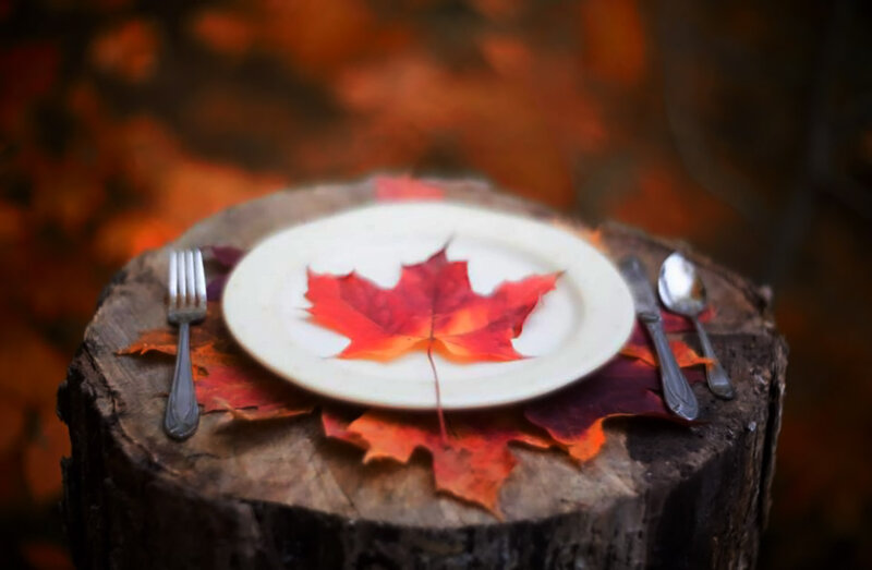 Maple Leaf on Plate